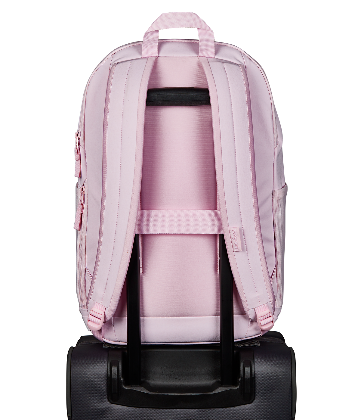 serenity-pack-k9 JS0A8982A4Y-BACK.png